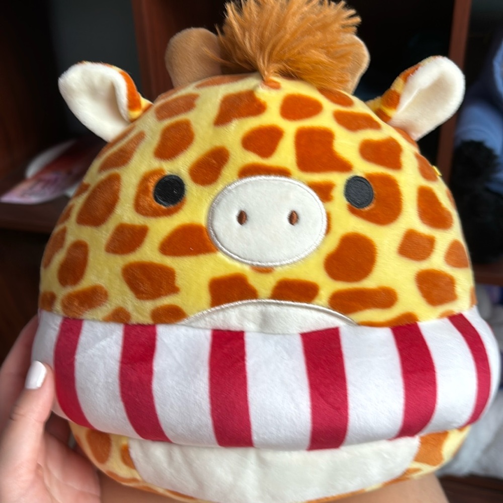 Gary limited edition squishmallow